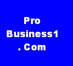 ProBusiness1.Com